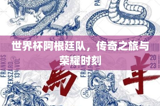 世界杯阿根廷队，传奇之旅与荣耀时刻