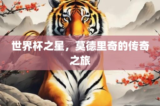 世界杯之星，莫德里奇的传奇之旅