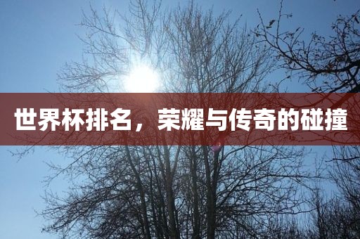世界杯排名，荣耀与传奇的碰撞洪湖市顺升工程机械租赁有限公司