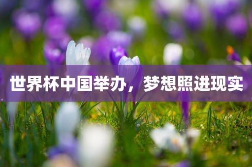 世界杯中国举办，梦想照洪湖市顺升工程机械租赁有限公司进现实