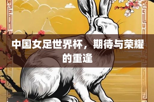 中国女足世界杯，期待与荣耀的重逢