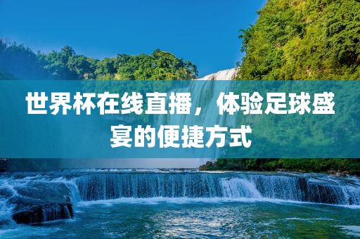 世界杯在线直播，体验足球盛宴的便捷方式洪湖市顺升工程机械租赁有限公司