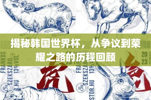 揭秘韩国世界杯，从争议到荣耀之路的历程回顾洪湖市顺升工程机械租赁有限公司