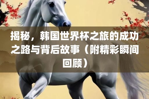 揭秘，韩国世界杯之旅的成功之路与背后故事（附精彩瞬间回顾）