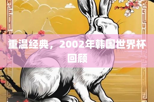 重温经典，2002年韩国世界杯回顾洪湖市顺升工程机械租赁有限公司