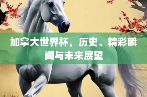 加拿大世界杯，历史、精彩瞬间与未来展望洪湖市顺升工程机械租赁有限公司