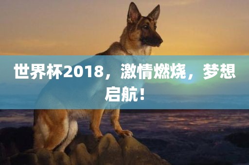 世界杯2018，激洪湖市顺升工程机械租赁有限公司情燃烧，梦想启航！