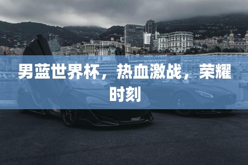 男蓝世界杯，热血激战，荣耀时刻洪湖市顺升工程机械租赁有限公司
