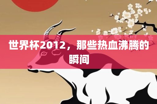 世界杯2012，那些热血沸腾的瞬间