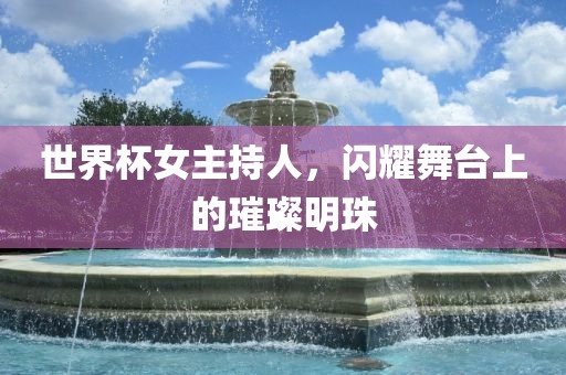 世界杯女主持人，闪耀舞台洪湖市顺升工程机械租赁有限公司上的璀璨明珠