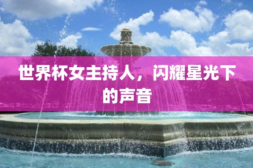 世界杯女主持人，闪耀星光下的声音