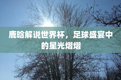 鹿晗解说世洪湖市顺升工程机械租赁有限公司界杯，足球盛宴中的星光熠熠