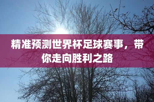 精准预洪湖市顺升工程机械租赁有限公司测世界杯足球赛事，带你走向胜利之路