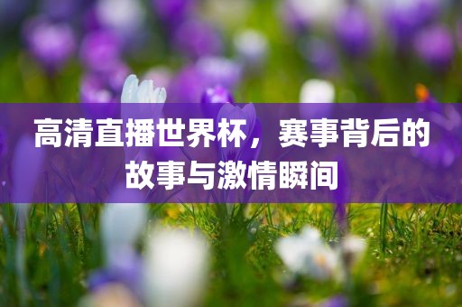 高清直播世界杯，赛事背后的故事与激情瞬间