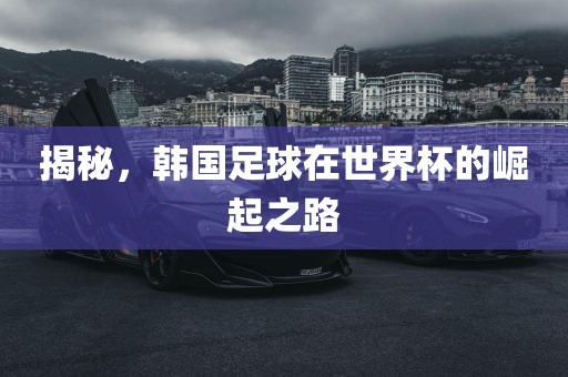 揭秘，韩国足球在世界杯的崛起之路洪湖市顺升工程机械租赁有限公司