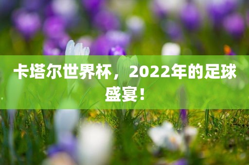 卡塔尔世界杯，2022年的足球盛宴！洪湖市顺升工程机械租赁有限公司