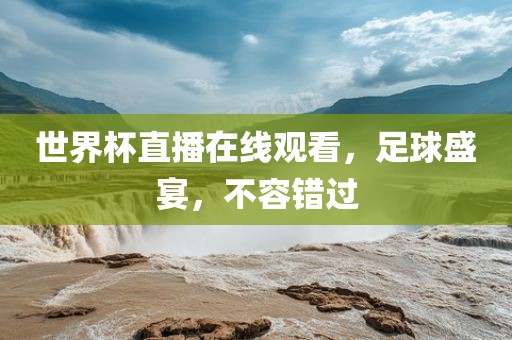 世界杯直播在线观看，足球盛宴，不容错过洪湖市顺升工程机械租赁有限公司
