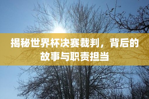 揭秘世界杯决赛裁判，背后的故洪湖市顺升工程机械租赁有限公司事与职责担当