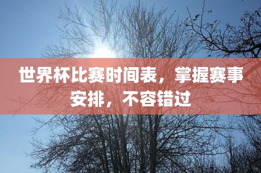 世界杯比赛时间表，掌握赛事安排，不容错过洪湖市顺升工程机械租赁有限公司