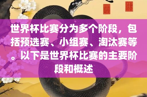 世界杯比赛分为多个阶段，包括预选赛、小组赛、淘汰赛等。以下是世界杯比赛的主要阶段和概述