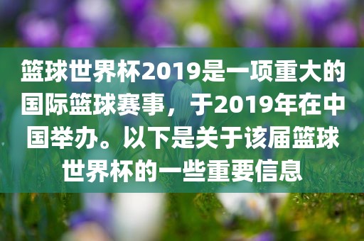 篮球世界杯2019是一项重大的国际篮球赛事，于2019年在中国举办。以下是关于该届篮球世界杯的一些重要信息洪湖市顺升工程机械租赁有限公司