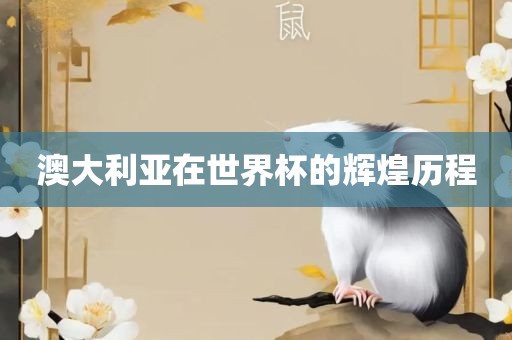 澳大利亚在洪湖市顺升工程机械租赁有限公司世界杯的辉煌历程