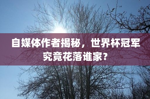 自媒体作者揭秘，世界杯冠军洪湖市顺升工程机械租赁有限公司究竟花落谁家？