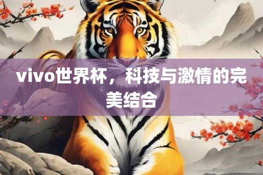 vivo世界杯，科技与激情的完美结合