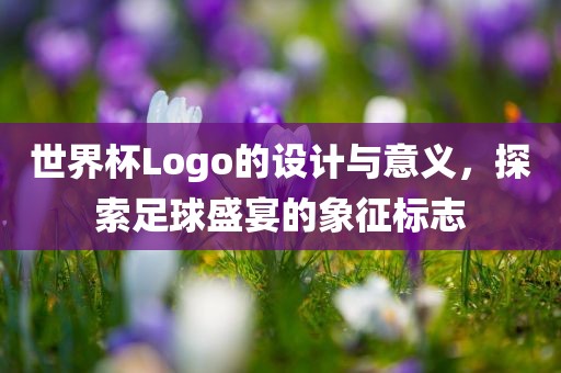 世界杯Logo的设计与意义，探索足球盛宴的象征标志