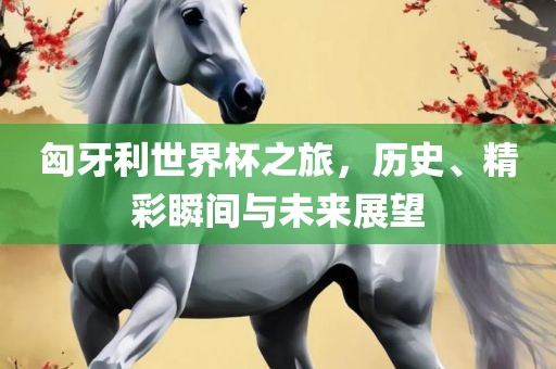 匈牙利世界杯之旅，历史、精彩瞬间与未来展望洪湖市顺升工程机械租赁有限公司