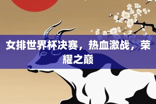 女排世界杯决赛，热血激战，荣耀之巅