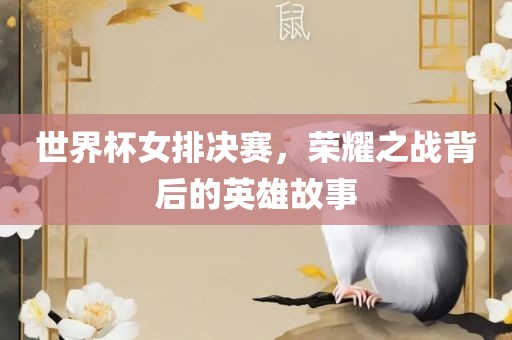 世界杯女排决赛，荣耀之战背后的英雄故事