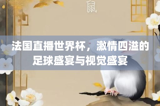 法国直播世界杯，激情四溢的足球盛宴与视觉盛宴洪湖市顺升工程机械租赁有限公司