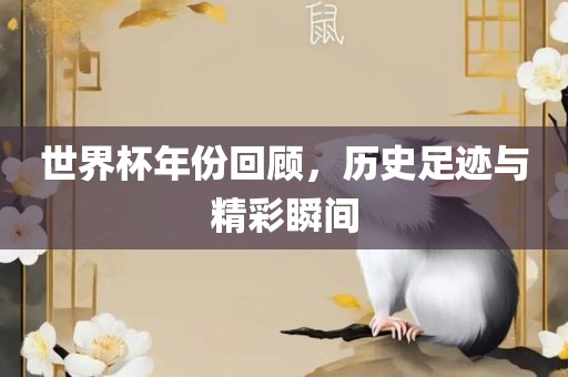 世界杯历史 第10页