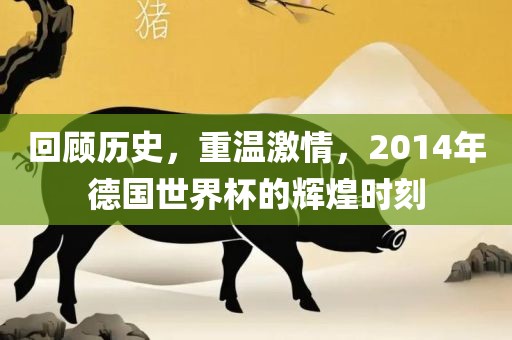 回顾历史，重温激情，2014年德国世界杯的辉煌时刻洪湖市顺升工程机械租赁有限公司