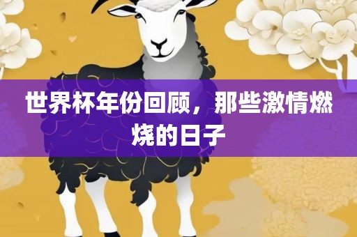 世界杯年份回顾，那些激情燃烧的日子