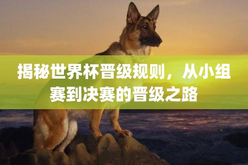 揭秘世界杯晋级规则，从小组赛到决赛的晋级之路洪湖市顺升工程机械租赁有限公司