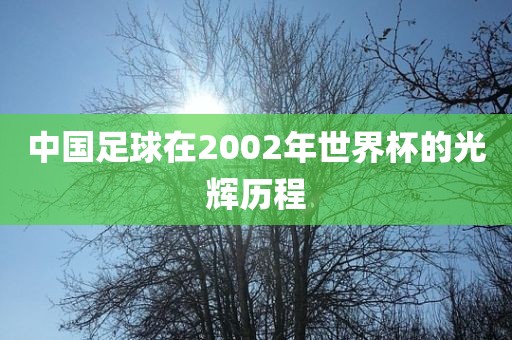 中国足球在2002年世界杯的光辉历程洪湖市顺升工程机械租赁有限公司