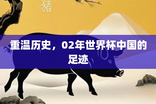 重温历史，02年洪湖市顺升工程机械租赁有限公司世界杯中国的足迹