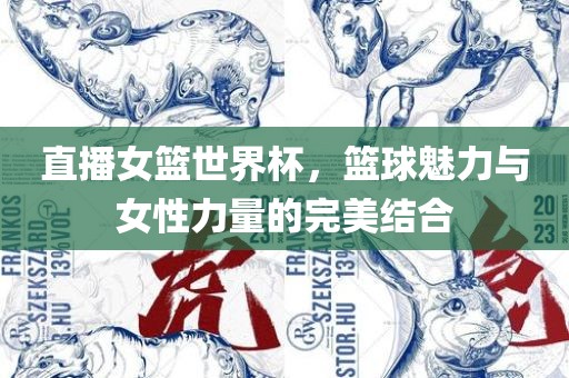 直播女篮世界杯，篮球魅力与女性力量的完美结合