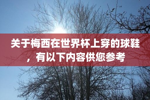 关于梅西在世界杯上穿的球鞋，有以下内容供您参考