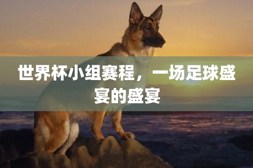 世界杯小组赛程，一场足球盛洪湖市顺升工程机械租赁有限公司宴的盛宴