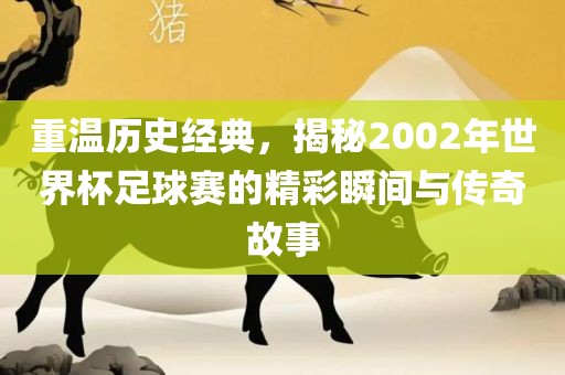 重温历史经典，揭秘2002年世界杯足球赛洪湖市顺升工程机械租赁有限公司的精彩瞬间与传奇故事