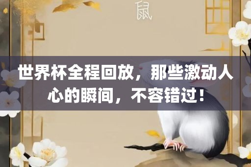 世界杯全程回放，那些激动人心的瞬间，不容错过！