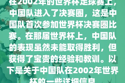 在2002年的世界杯足球赛上，中国队进入了决赛圈，这是中国队首次参加世界杯决赛圈比赛。在那届世界杯上，中国队的表现虽然未能取得胜利，但获得了宝贵的经验和教训。以下是关于中国队在2002年世界杯的一些详细信息