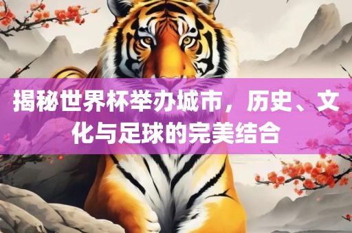 揭秘世界杯举办城市，历史、文化与足球的完美结合洪湖市顺升工程机械租赁有限公司