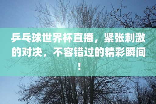 乒乓球世界杯直播，紧张刺激的对决，不容错过的精彩瞬间！