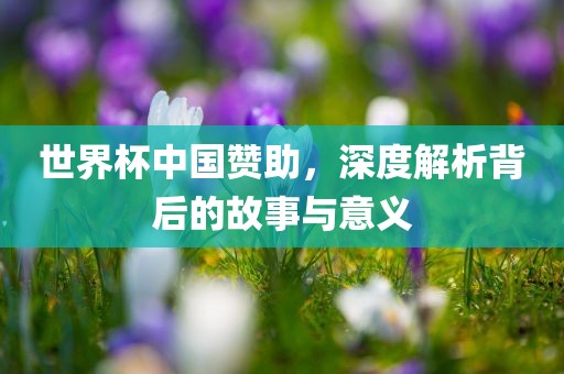 世界杯中国赞助，深度解析背后的故事与意义洪湖市顺升工程机械租赁有限公司