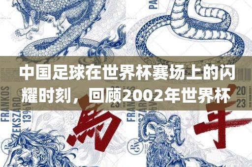 中国足球在世界杯赛场上的闪耀时刻，回顾2002年世界杯洪湖市顺升工程机械租赁有限公司