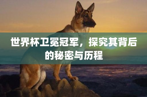 世界杯卫冕冠军，探究其背后的秘密与历程